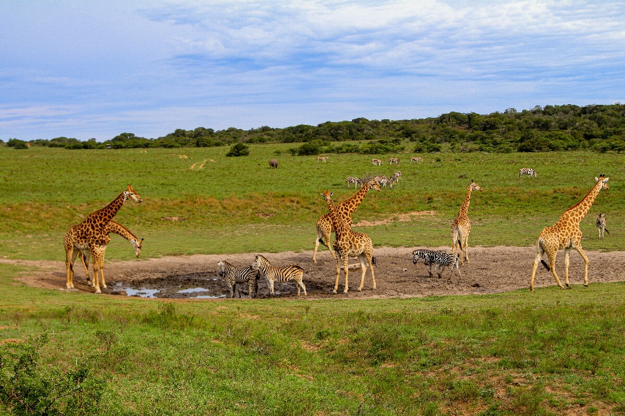 yoni-kozminsi-zZQz_RZxJCE-unsplash-1